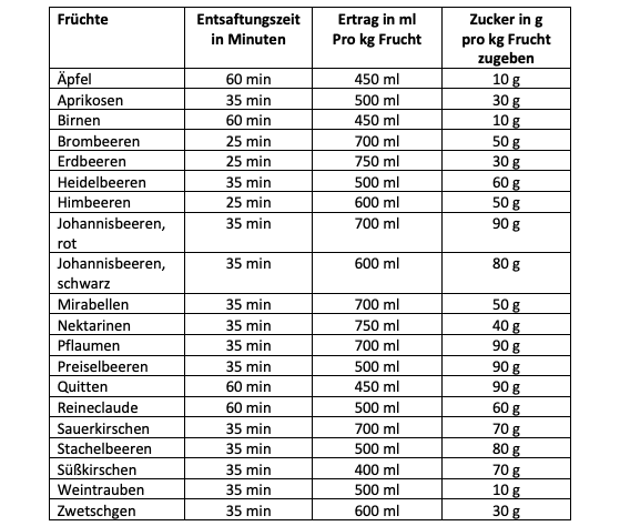 Dampfentsafter-Aufsatz von MixFino® für Thermomix TM6, TM5, TM31 und TM Friend - Wundermix GmbH